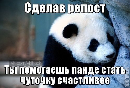    :D - 12  2014  15:15