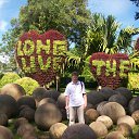  V. V. $., , 52  -  6  2014    ߻