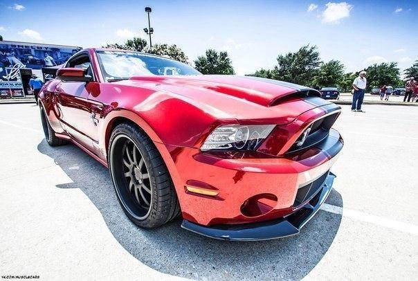 Shelby GT500 Super Snake - 4