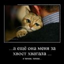 ���� ���������, ������-��-����, 52 ���� - ��������� 4 ������ 2014 � ������ ������ ��������