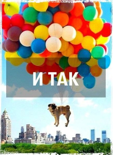   - 19  2014  10:29 - 5