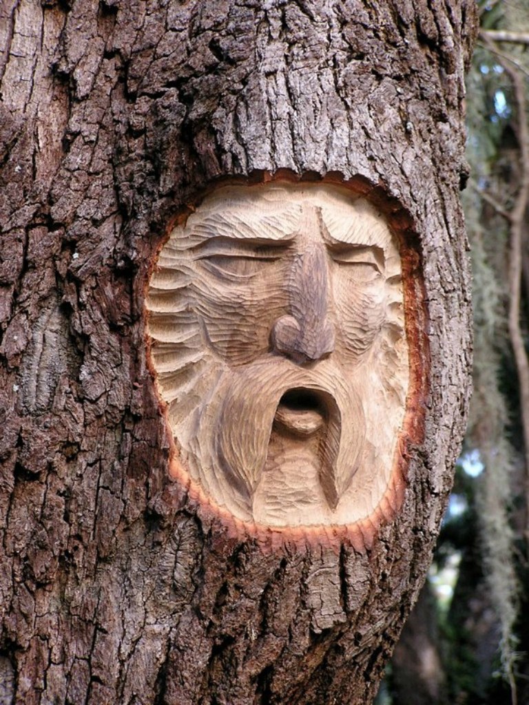  .        Tree Spirits,   ... - 9