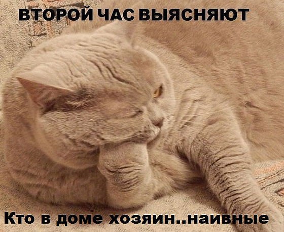 �������� - 25 ������ 2014 � 21:32