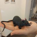 ���� ����, ������ ��������, 46 ��� - ��������� 31 ������� 2014 � ������ ���� ����������