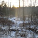  , , 60  -  28  2014     (    )