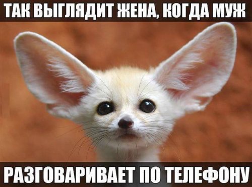   - 13  2014  14:02