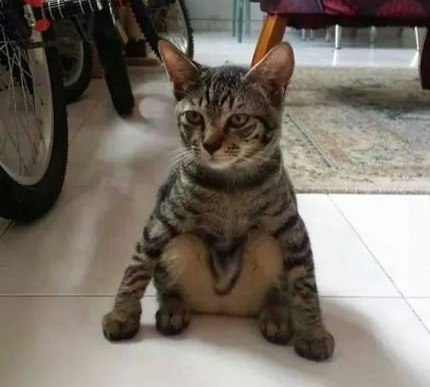 ,  