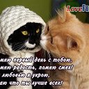 ���� ������� ������� �� ��������, ������ - ��������� 9 ������� 2014 � ������ ��������� �����