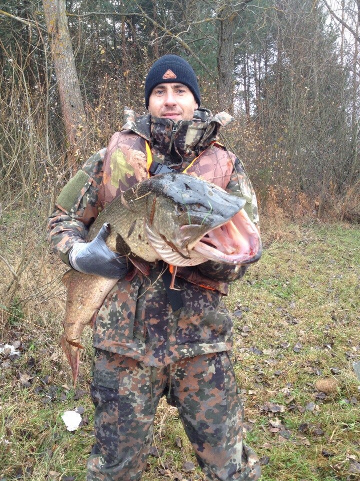 ����� ������� - 16 ������ 2014 � 22:52 - 3