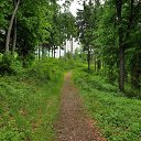 ���� ����, ������-��-����, 54 ���� - ��������� 26 �������� 2014 � ������ ������ ��������