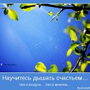 ���� ��������, ��������, 52 ���� - ��������� 8 �������� 2014 � ������ ������ ��������