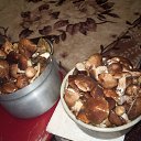 ���� ���, �������, 64 ���� - ��������� 13 �������� 2014 � ������ ��� �������