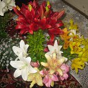 ���������� ����� �����. �� ������� ���� ����������