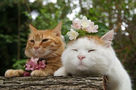 tumblr - 7 ������� 2014 � 23:43 - 2