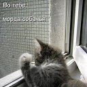 ���� Sandra, ����, 49 ��� - ��������� 20 ������ 2014 � ������ ������ ��������