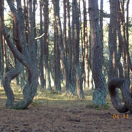 ���� ������� ������, ������, 57 ��� - ��������� 22 ������� 2014