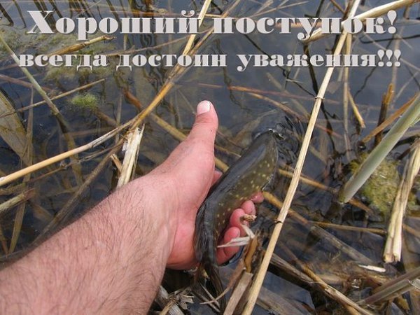 ����� ������� - 12 ������ 2014 � 21:59 - 2