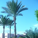 ���� ������, ������������, 70 ��� - ��������� 30 ������ 2014 � ������ �������2014�