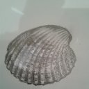  , , 65  -  8  2014    