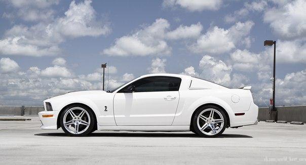 Ford Mustang Shelby.