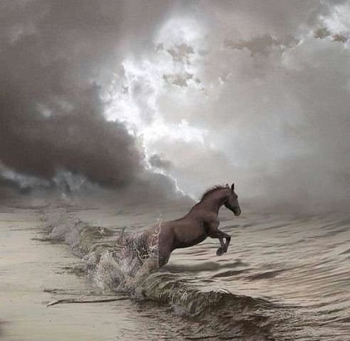 Nadyn - 19 ������ 2014 � 03:44