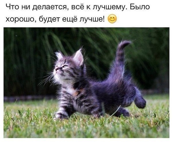 ,    - 5  2014  19:43