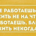  , , 51  -  31  2014   )))