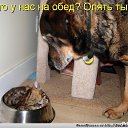 ���� ��������, �������������, 51 ��� - ��������� 2 ������� 2014 � ������ ������ ��������
