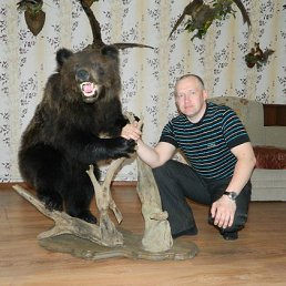 ���� ��������, ���������, 52 ���� - ��������� 11 ������� 2014