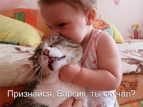     )))