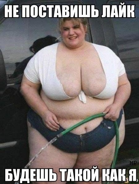 SportFeed - 29  2014  05:19