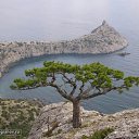 ���� ����, ����, 34 ���� - ��������� 9 ������ 2014 � ������ ���� ����������