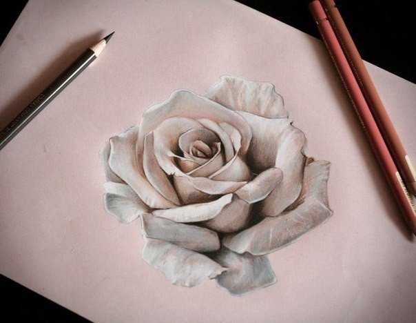 Art & Fun - 5  2014  17:08