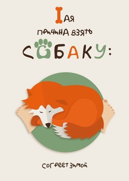 7 причин взять собаку)