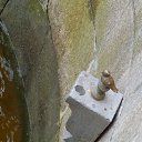 ���� ����c�, ���������� - ��������� 20 ������� 2014 � ������ �C����-���������