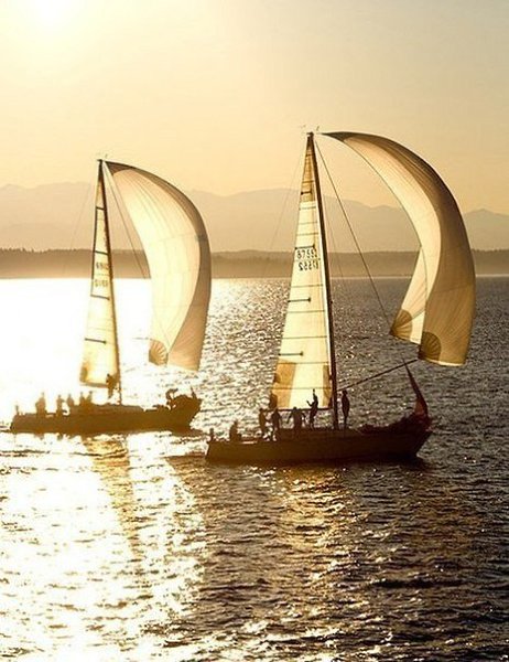 Не жди подходящего момента. Бери момент и делай его подходящим. - 3