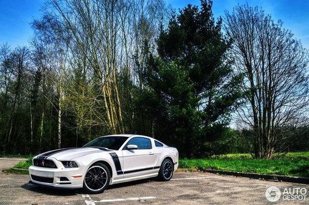 Ford Mustang Boss 302 and Mustang GT 1966. - 6