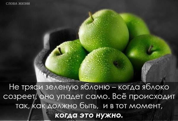 ������� � ������ - fotostrana.ru/public/236803/.��������� - fotostrana.ru/public/236803/