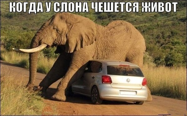    " "  -   : ...