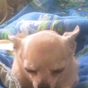 ���� ��������, �����-���������, 40 ��� - ��������� 14 �������� 2014 � ������ ���� ����������