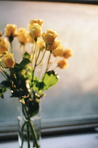 Теперь, когда у меня есть цель, я чувствую себя более сильной. Аноним. Дневник Алисы