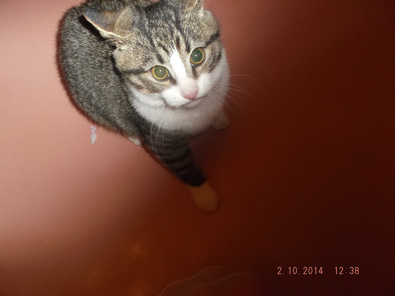 ух как я зол!