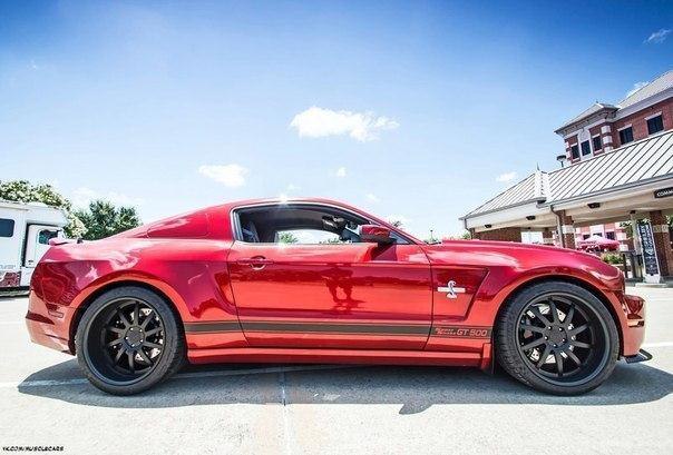 Shelby GT500 Super Snake - 5