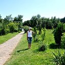 ���� �������, ����������, 49 ��� - ��������� 15 ������ 2014 � ������ ���� ����������