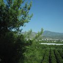 ������� � ����... �� ������� ���� ����������