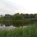 ���� ������, ������, 58 ��� - ��������� 17 ������� 2014 � ������ ��� ����ɻ