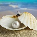 ���� Regina, ������ - ��������� 28 �������� 2014 � ������ ������ ��������