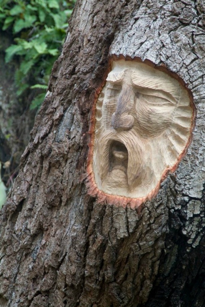  .        Tree Spirits,   ... - 6