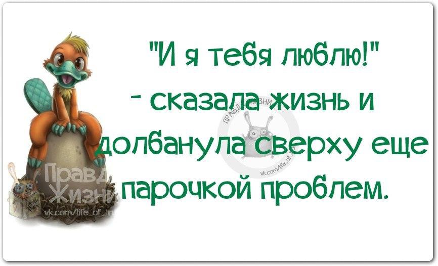 Как говорят жизненно. Высказывания о проблемах смешные. Прикольные высказывания про трудности. Цитаты про проблемы смешные. Прикольные высказывания про проблемы.