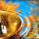 ���� ������, �����-���������, 64 ���� - ��������� 11 ������ 2014 � ������ ���� ����������